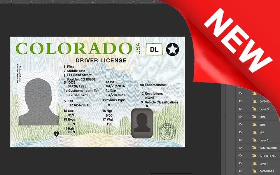 CO_dl_new Colorado driver license Psd Template New