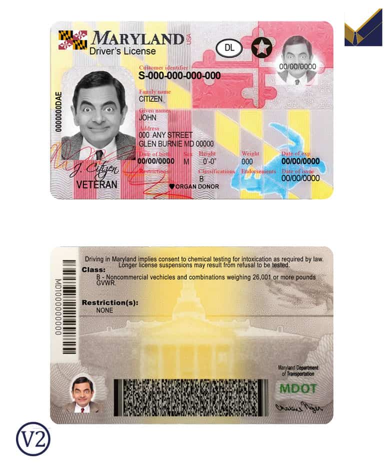 Fake-USA-Maryland-Driver-License-Template Fake-USA-Maryland-Driver-License-Template