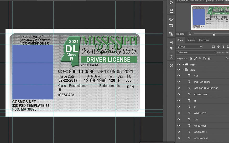 MA Mississippi driver license Psd Template