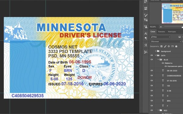 Minnesota driver license Psd Template