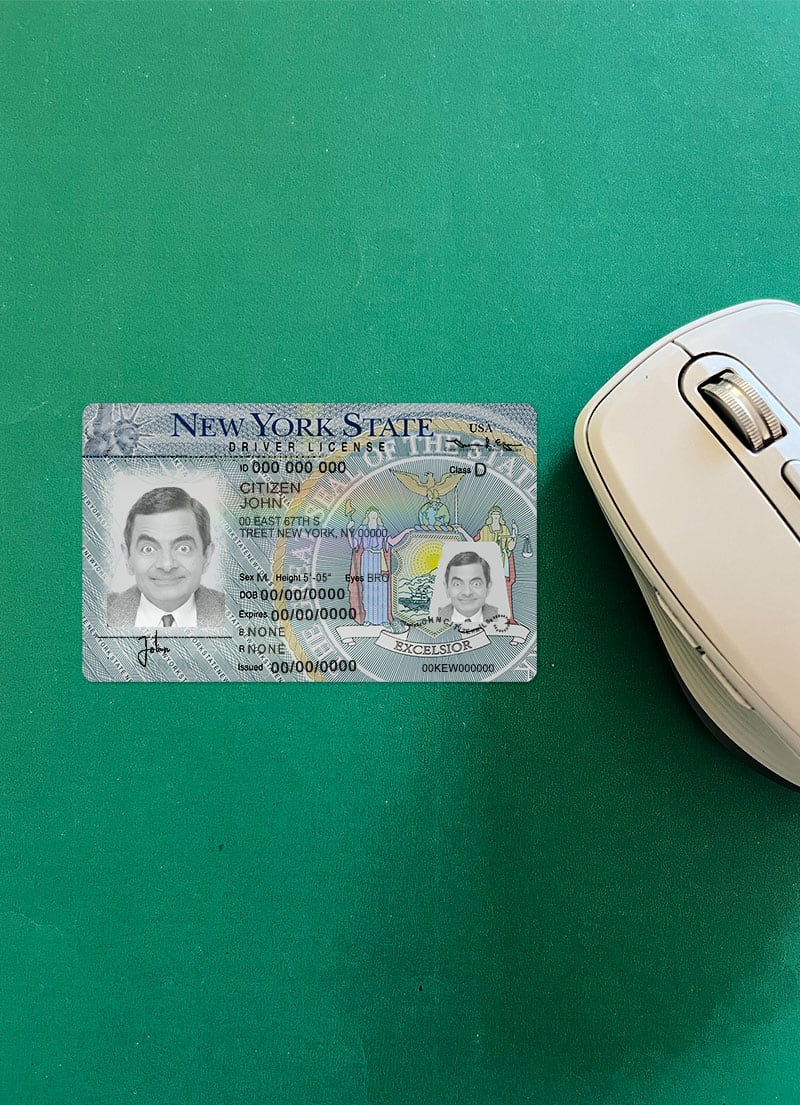 new york driver license template download New York driver license Psd Template photolook version
