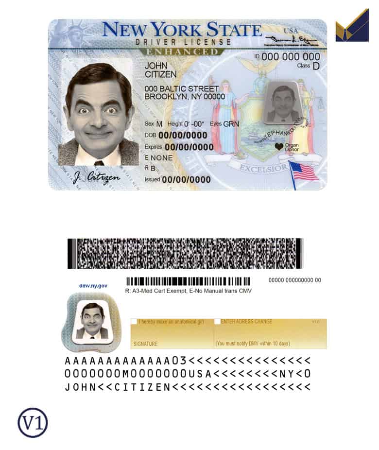 new york driving license psd new york drivers license psd