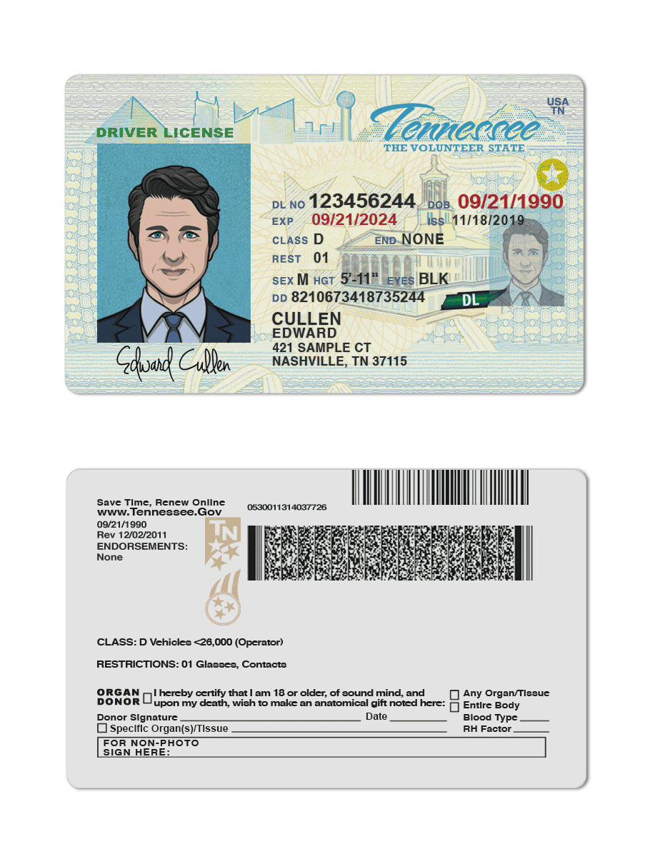 Tennessee-driver Tennessee driver license Psd Template