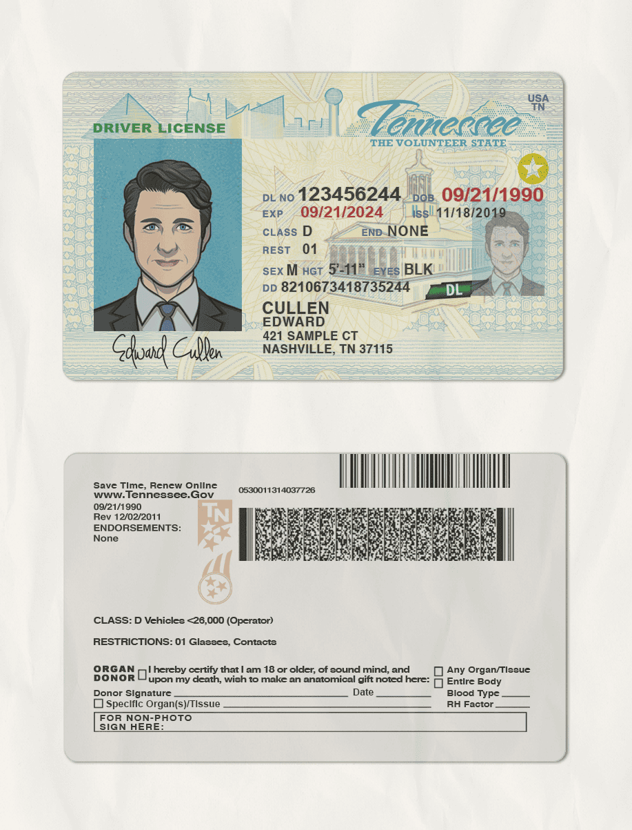 Tennessee-(scan) Tennessee driver license Psd Template with scan effect