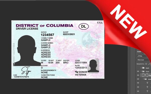 dc-dl District of Columbia driver license Psd Template New