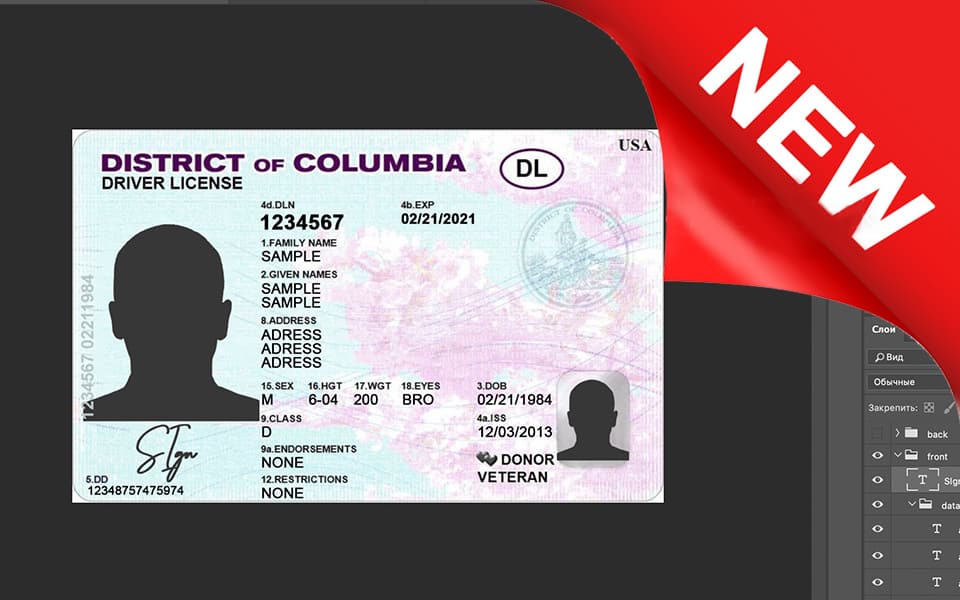dc-dl District of Columbia driver license Psd Template New