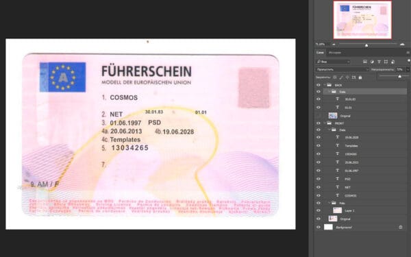 Austria driver license Psd Template