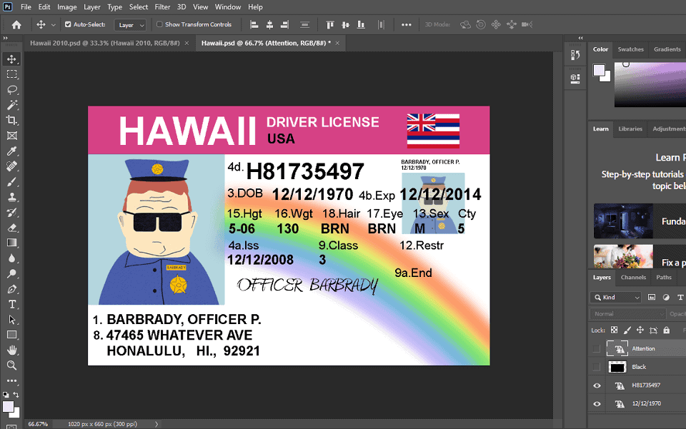 hawaii Hawaii Driver License PSD Template (old version) - Image 2