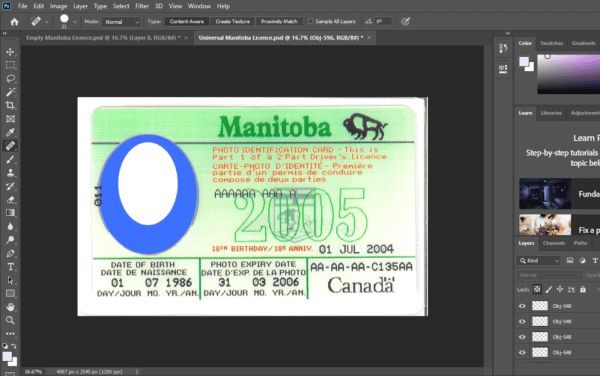 Manitoba Canada Driver License PSD Template