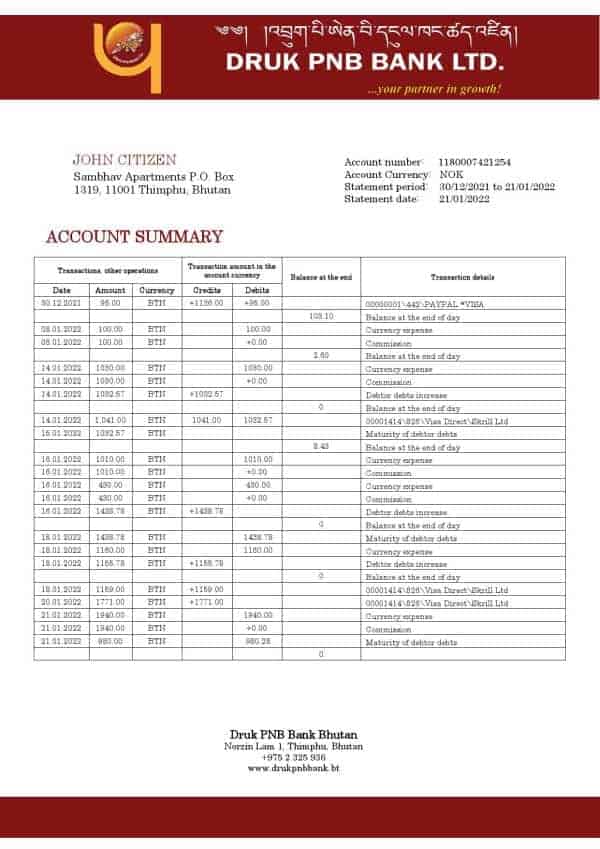 Bhutan Druk PNB bank statement template in Word and PDF format
