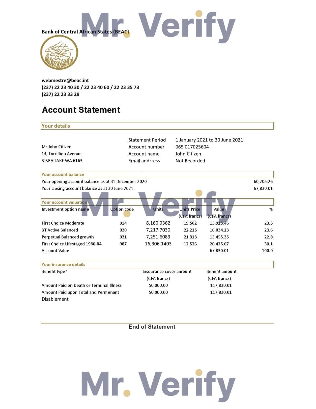 Central_African_Republic_Bank_of_Central_African_States_BEAC.jpg Central African Republic Bank of Central African States BEAC bank statement easy to fill template in .xls and .pdf file format (AutoSum)