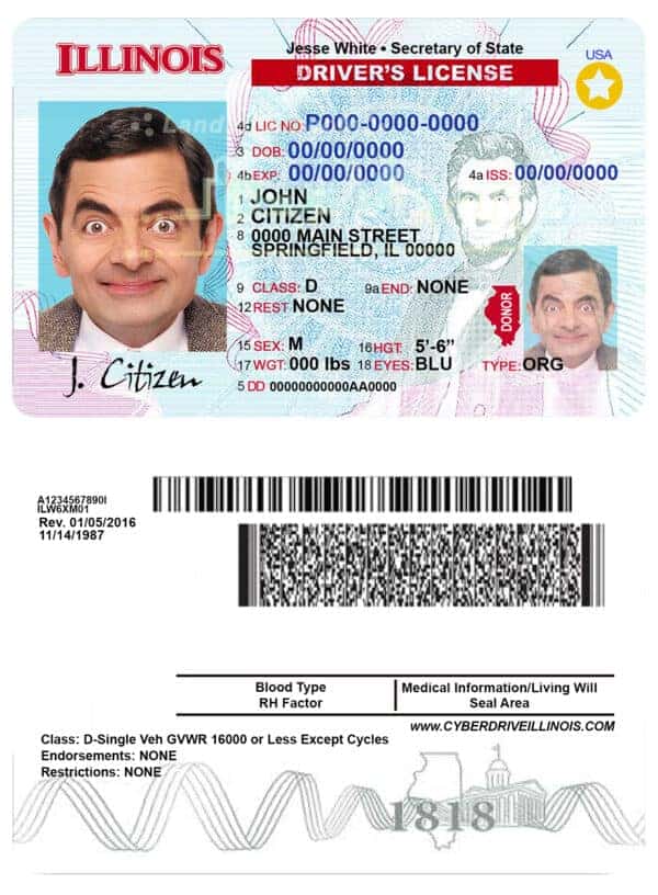 Fake USA Illinois Driver License Template