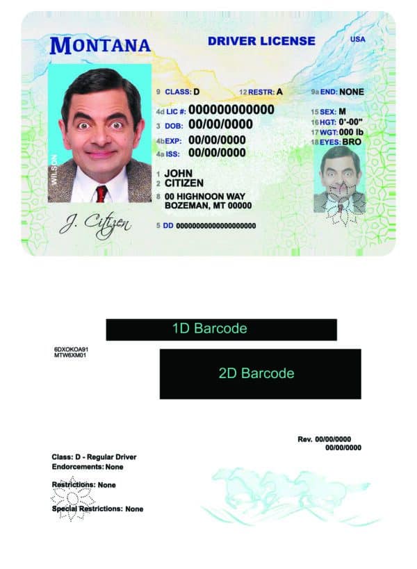 Fake USA Montana Driver License Template