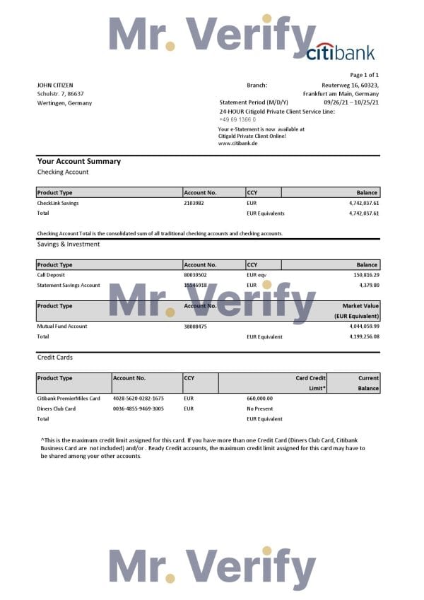 Germany-Citibank-bank-account-statement-template-in-Excel-and-PDF-format.jpg Germany Citibank bank account statement template in Excel and PDF format