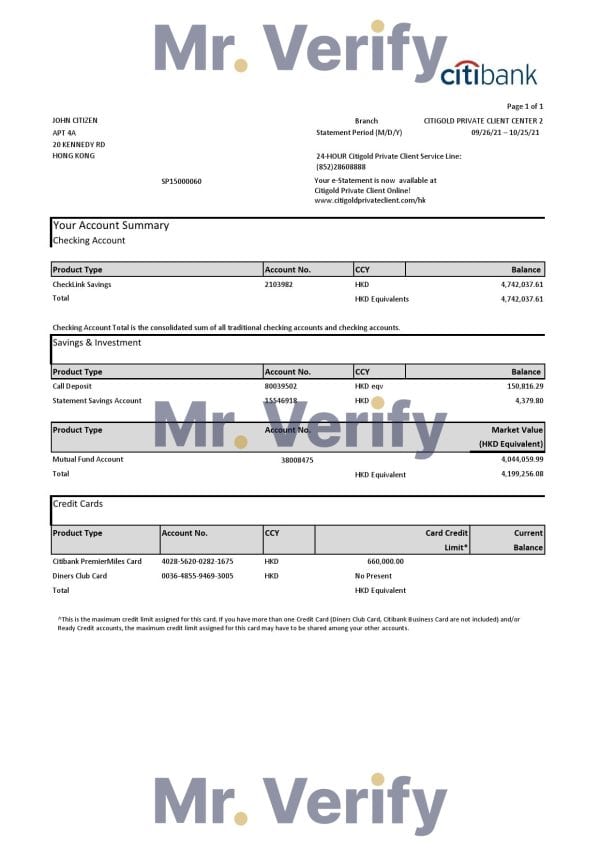 Hong Kong Citibank Credit Card Statement Template in .xls and .pdf