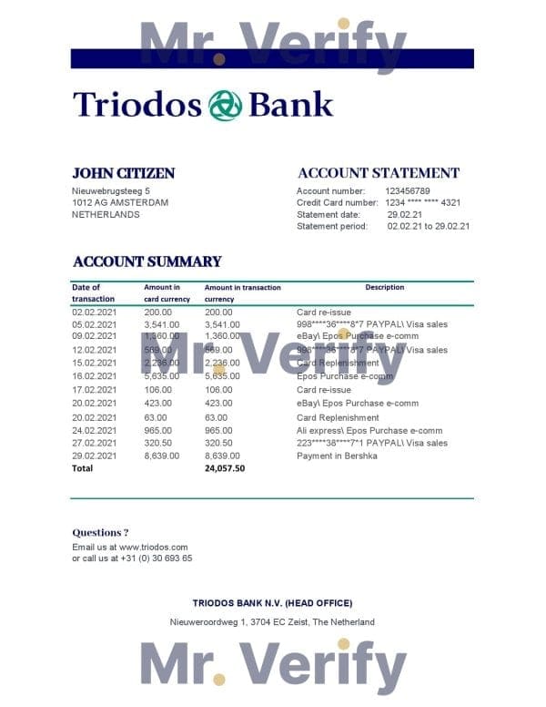 Netherlands Triodos Bank statement easy to fill template in Excel and PDF format