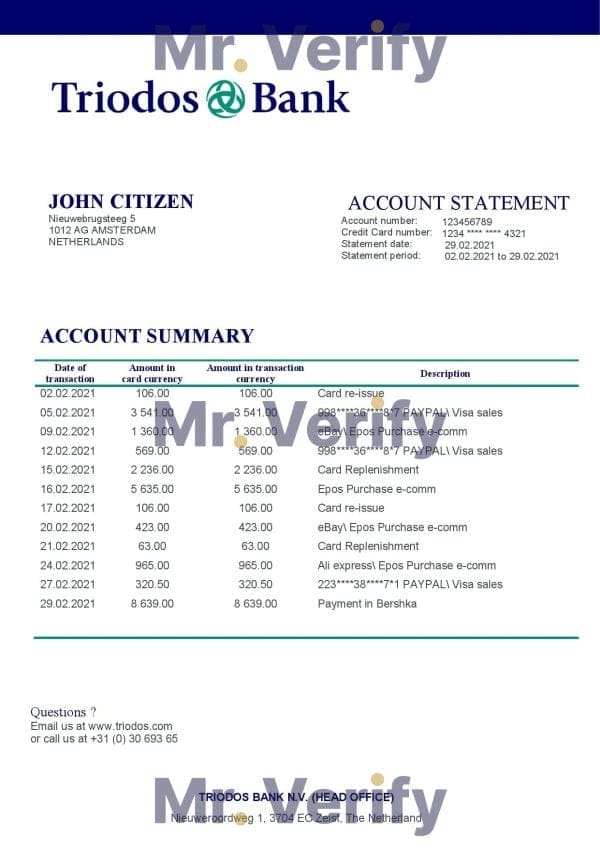 Netherlands Triodos Bank statement easy to fill template in Word and PDF format