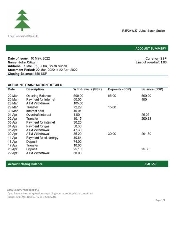 South-Sudan-Eden-Commercial-Bank-bank-statement-template-in-Word-and-PDF-format.jpg South Sudan Eden Commercial Bank bank statement template in Word and PDF format