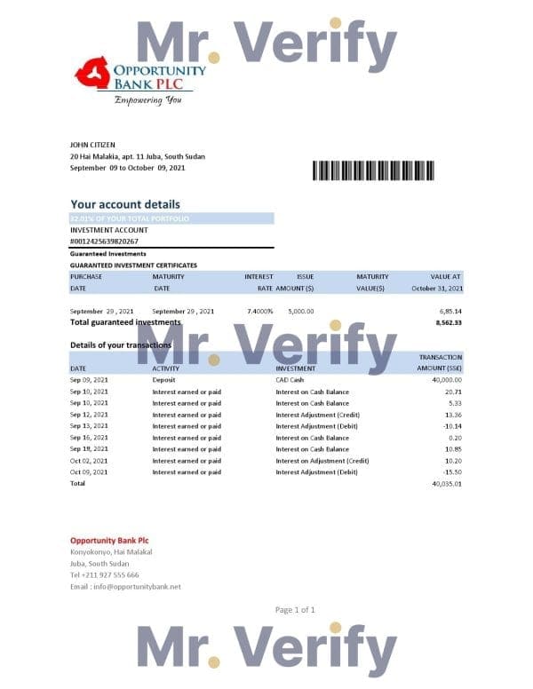South Sudan Opportunity Bank statement easy to fill template in .xls and .pdf file format