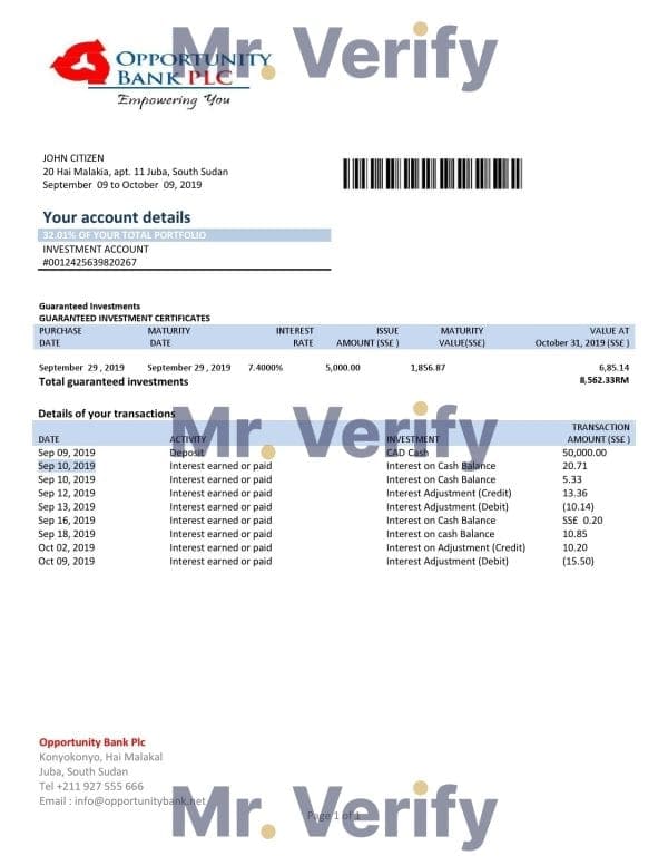 South Sudan Opportunity Bank statement template in Word and PDF format