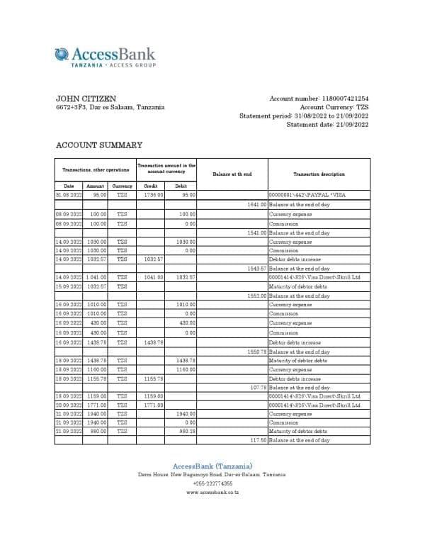 Tanzania Access bank statement, Excel and PDF template