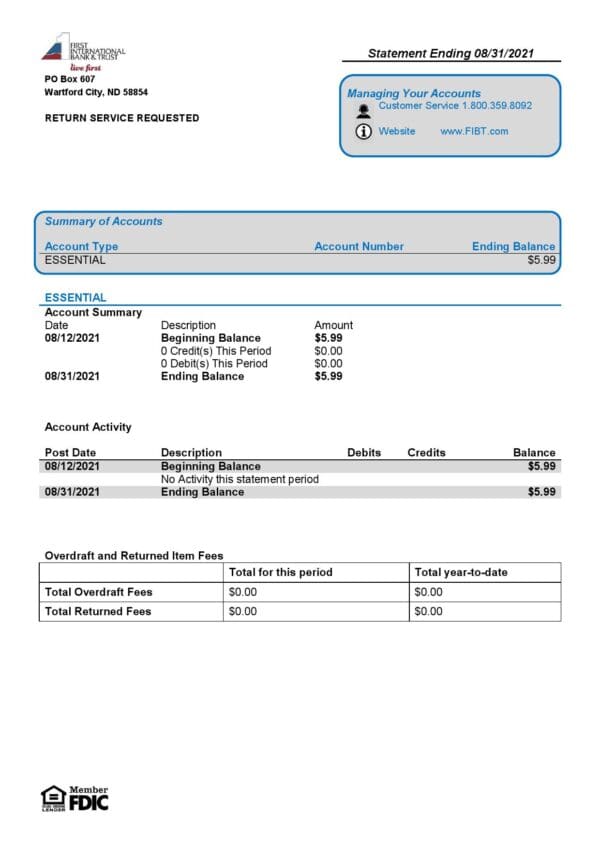 USA-First-International-Bank-Trust-bank-statement-template-in-Word-and-PDF-format.jpg USA First International Bank & Trust bank statement template in Word and PDF format