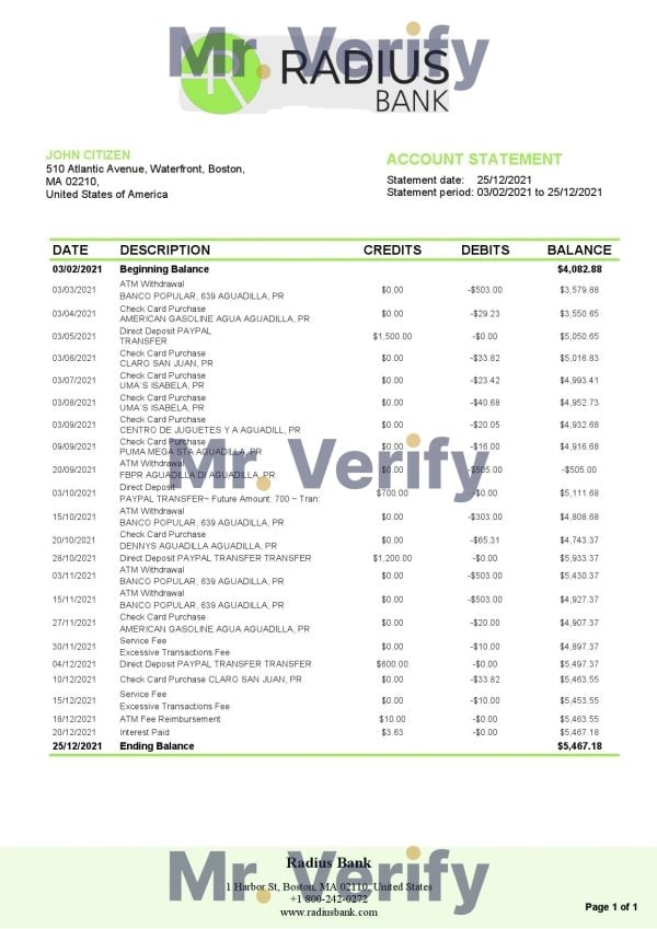 USA-Massachusetts-Radius-Bank-statement-template-in-Word-and-PDF-format.jpg USA Massachusetts Radius Bank statement template in Word and PDF format