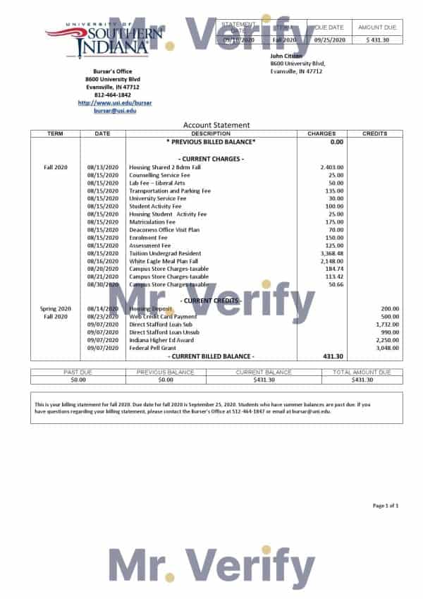 USA University of Southern Indiana account billing statement template in Word and PDF format