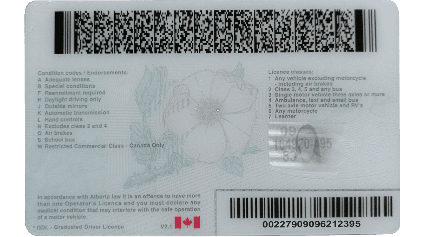 DL-Alberta-back Canada Alberta driver license psd template version 2 back