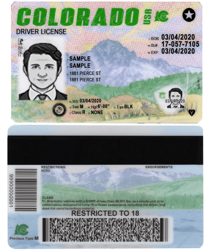 colorado-driver Colorado Driver License PSD Template: High-Resolution Design