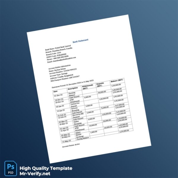 Bangladesh Pubali Bank Limited Bank Statement Template in Word and PDF formats