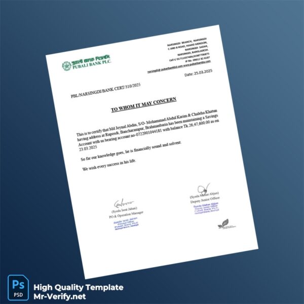 Bangladesh Pubali Bank Statement Template in Word and PDF formats Bangladesh Pubali Bank Statement Template in Word and PDF formats