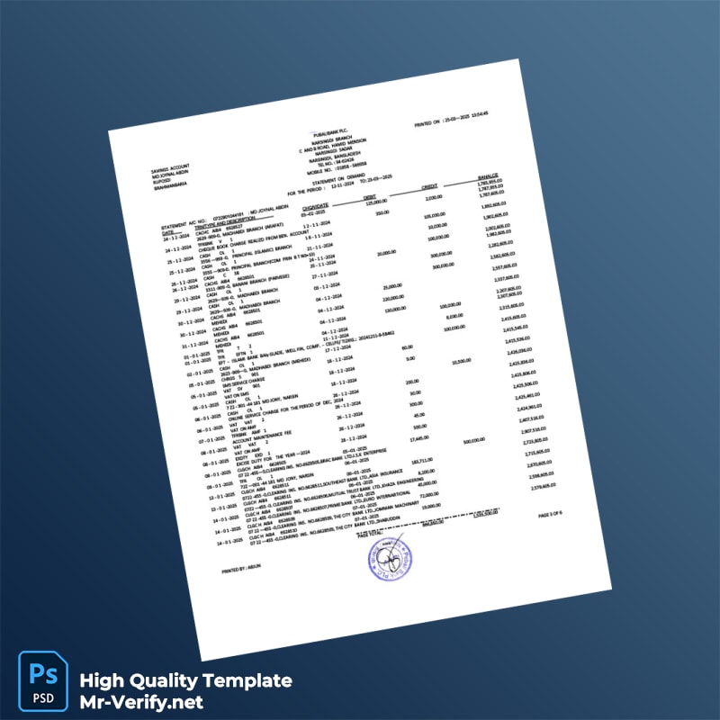 Bangladesh Pubali Bank Statement Template in Word and PDF formats page 4 Bangladesh Pubali Bank Statement Template in Word and PDF formats page 4