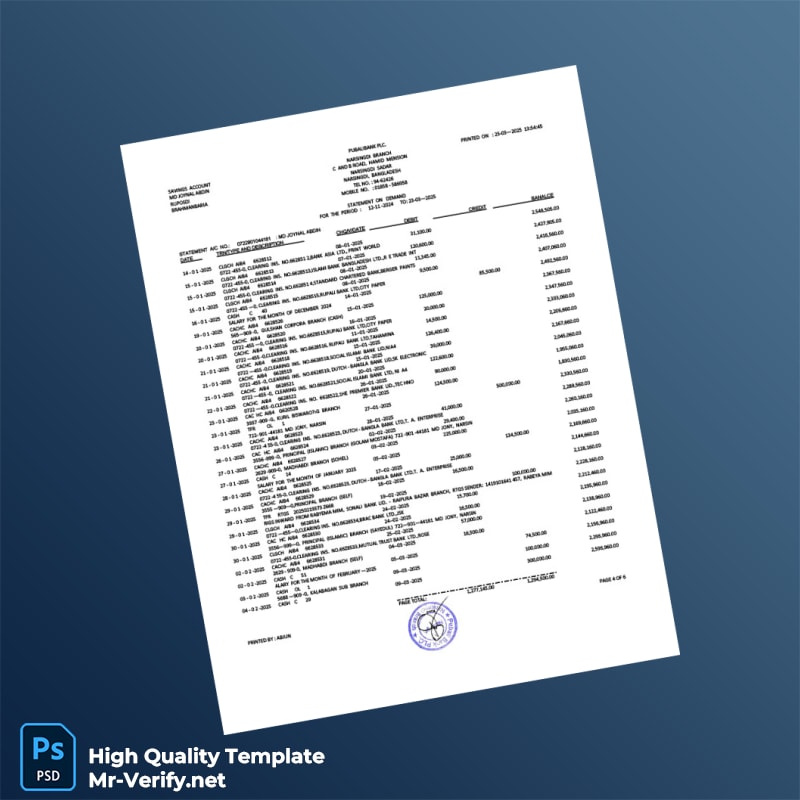 Bangladesh Pubali Bank Statement Template in Word and PDF formats page 5 Bangladesh Pubali Bank Statement Template in Word and PDF formats page 5