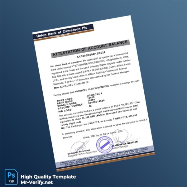 Cameroon Union Bank of Cameroon Plc Bank Statement Template in Word and PDF formats