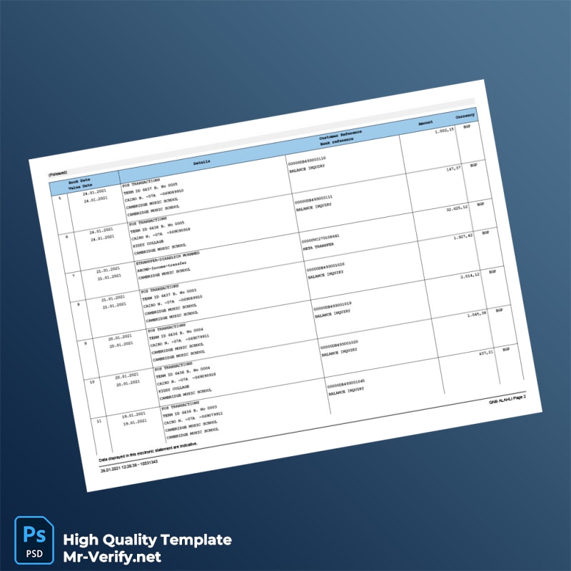 Egypt QNB Account Statement Template in Word and PDF formats page 2 Egypt QNB Account Statement Template in Word and PDF formats page 2