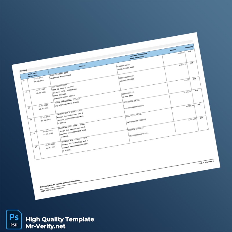 Egypt QNB Account Statement Template in Word and PDF formats page 4 Egypt QNB Account Statement Template in Word and PDF formats page 4