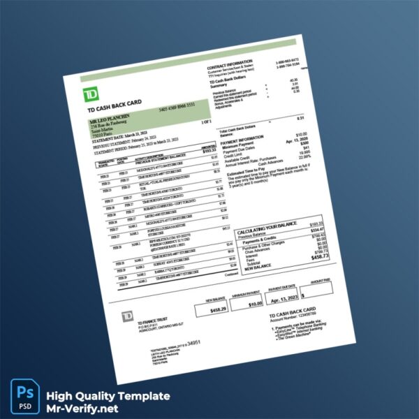 France TD Bank Statement Template in Word and PDF formats France TD Bank Statement Template in Word and PDF formats