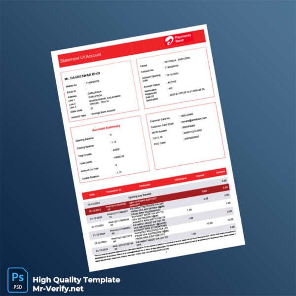 India Airtel Payment Bank Statement Template in Word and PDF formats