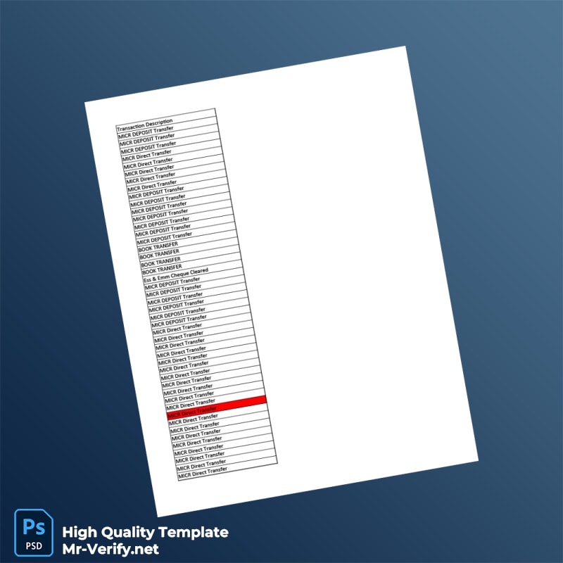 India Citi Bank Statement Template in Word and PDF formats page 4 India Citi Bank Statement Template in Word and PDF formats page 4