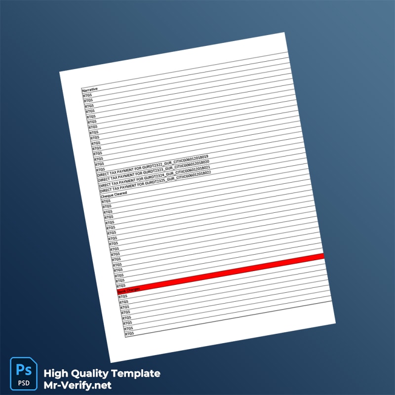 India Citi Bank Statement Template in Word and PDF formats page 5 India Citi Bank Statement Template in Word and PDF formats page 5
