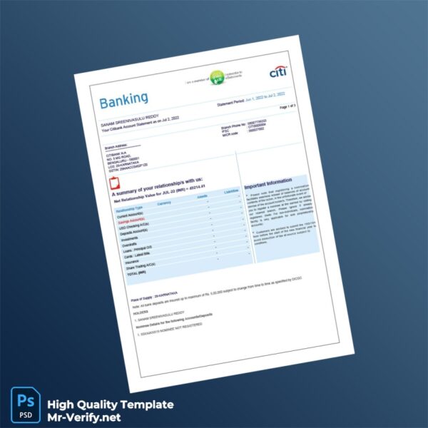 India Citibank Account Statement Template in Word and PDF formats