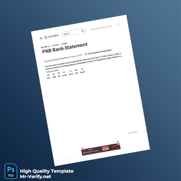 India PNB Bank Statement Template in Word and PDF formats India PNB Bank Statement Template in Word and PDF formats