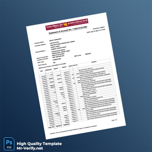 India Punjab National Bank Statement Template in Word and PDF formats