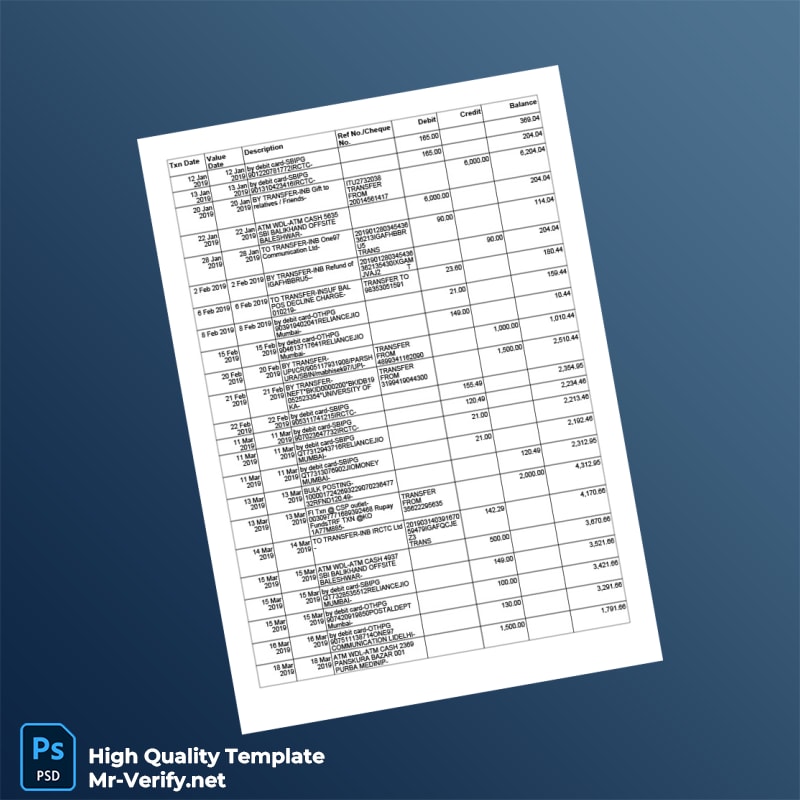 India Reserve Bank Of India Personal Bank Statement Summary Template in Word and PDF formats page 2 India Reserve Bank Of India Personal Bank Statement Summary Template in Word and PDF formats page 2