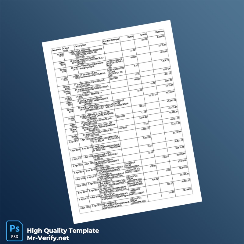 India Reserve Bank Of India Personal Bank Statement Summary Template in Word and PDF formats page 3 India Reserve Bank Of India Personal Bank Statement Summary Template in Word and PDF formats page 3