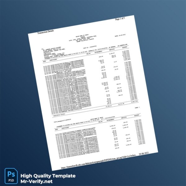India Union Bank of India Bank Statement Template in Word and PDF formats