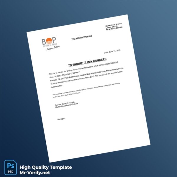 Pakistan Bank Statement Template in Word and PDF formats