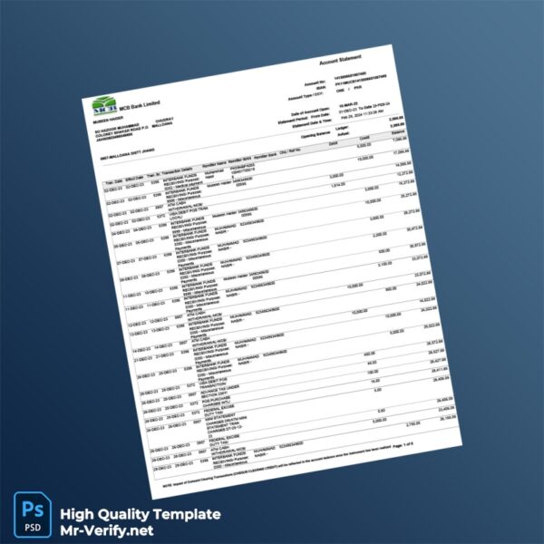 Pakistan MCB Bank Statement Template in Word and PDF formats