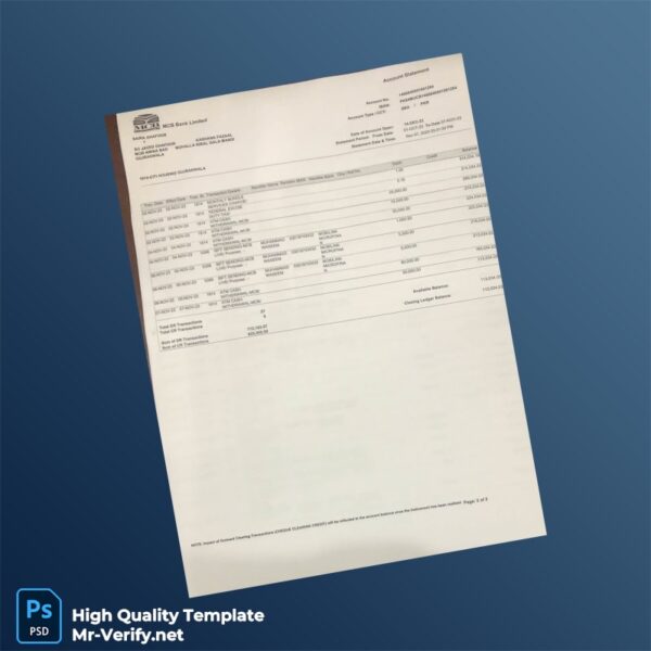 Pakistan Undefined Bank Statement Template in Word and PDF formats